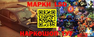стаф Бугуруслан